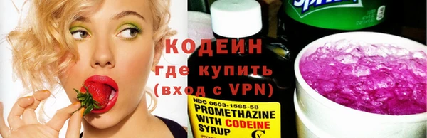 метадон Алексин