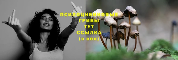 синтетический гашиш Алексеевка