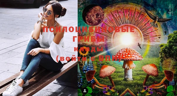 не бодяженный Алзамай