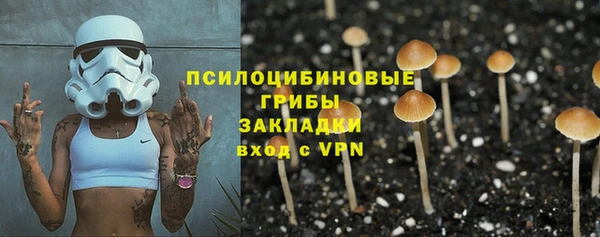 не бодяженный Алзамай